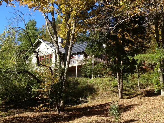 Home tucked into a forest clearing